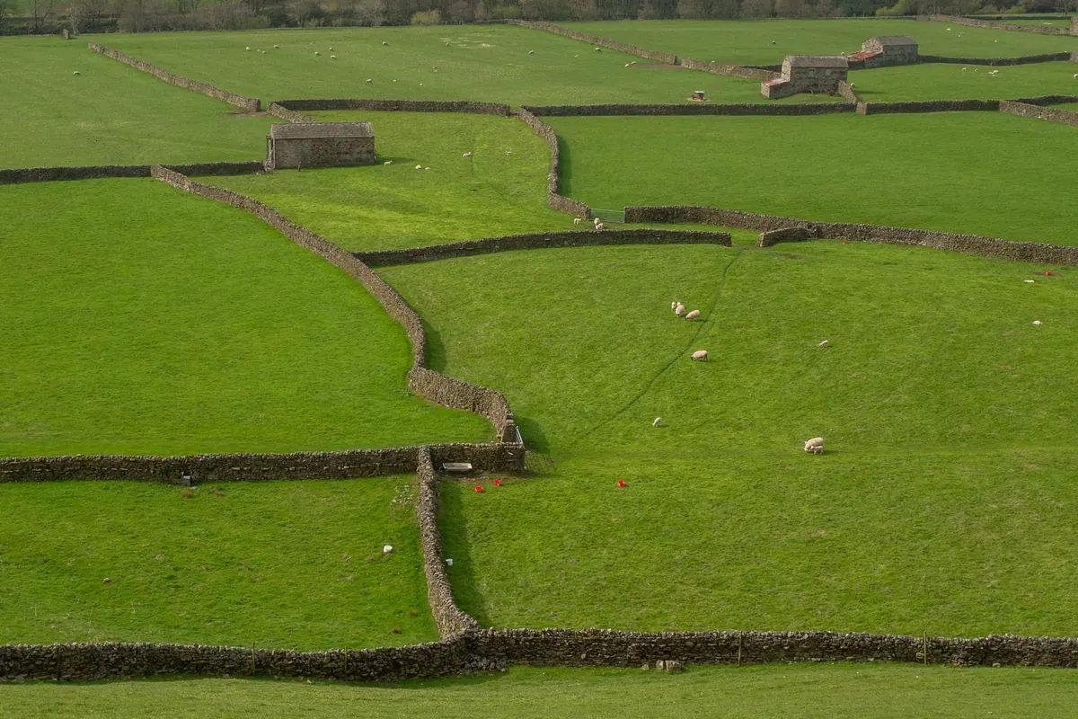 What Is a Dry Stone Wall? The Cotswolds' Oldest Craft Explained